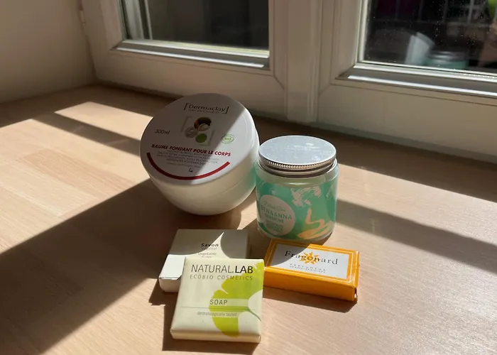 Chic T2 Renove Au Coeur De A 2 Min De Jaude ! * Clermont-Ferrand